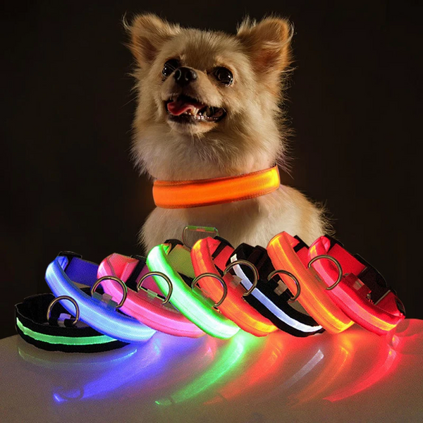 BeaconGuard LED Safety Collar - High-Visibility Night Protection